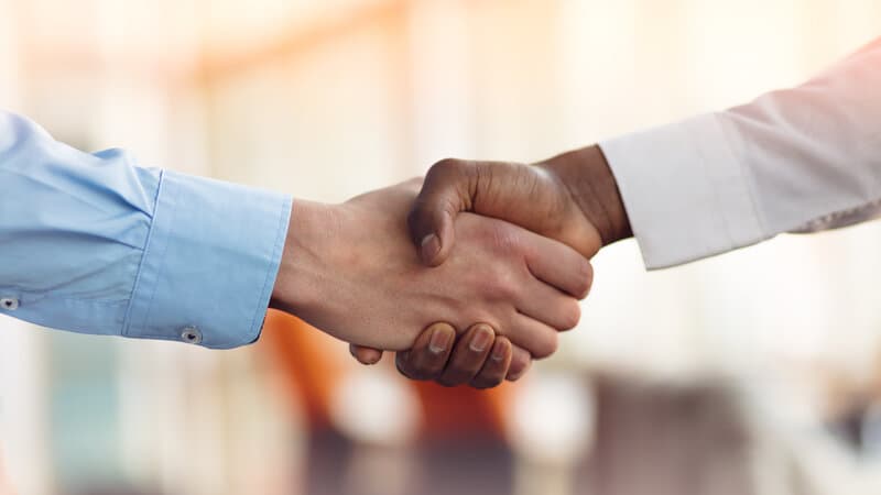 Close-up of two hands about to clasp in a handshake under soft natural light